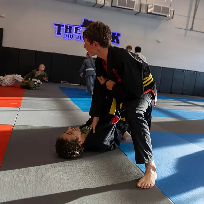 The Rock Jiu Jitsu Team, business photo 3