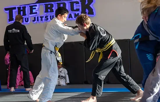 The Rock Jiu Jitsu Team, business photo 2